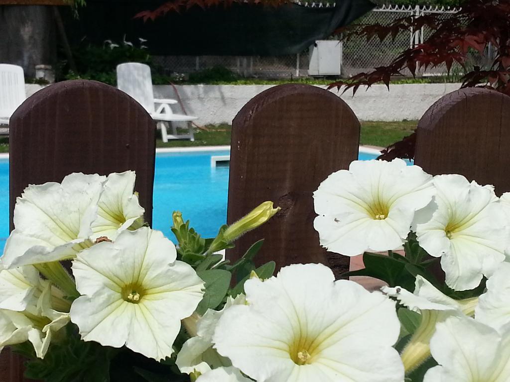 B&B Desenzano Desenzano del Garda Extérieur photo