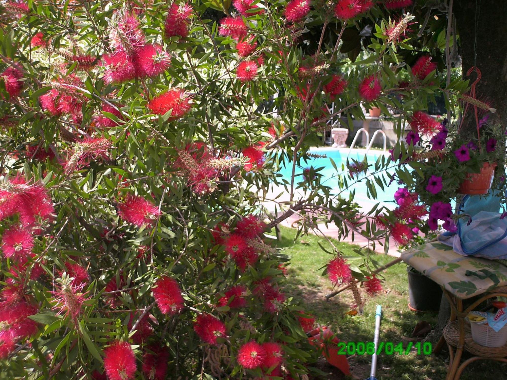 B&B Desenzano Desenzano del Garda Extérieur photo